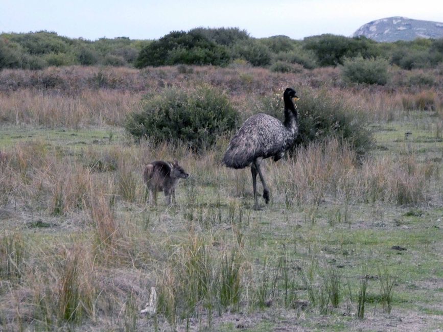 Melbourne - Wilsons-Promontory-Nationalpark