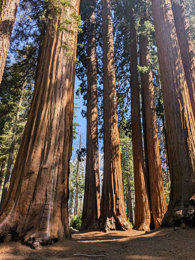 Parque Nacional Kings Canyon