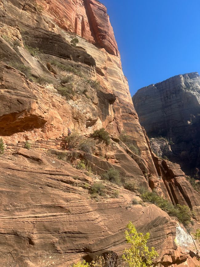 Canyon Land: Zion and Bryce Canyon❤️