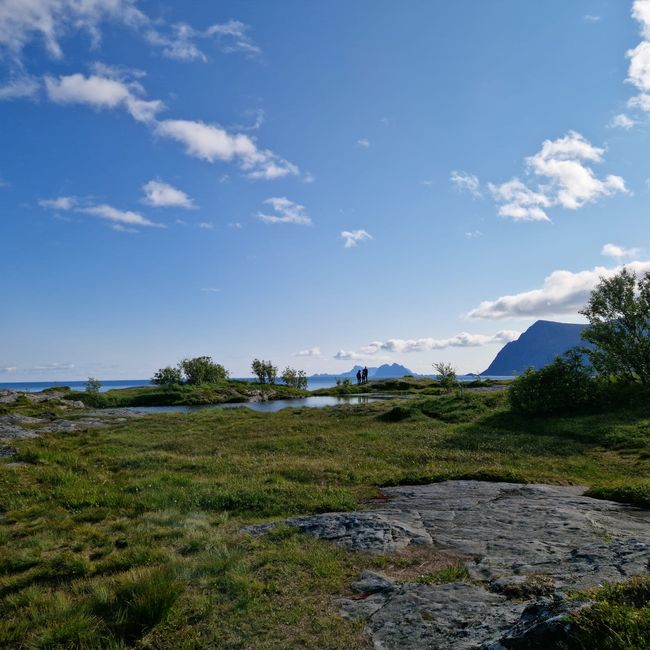 Reine, Nusfjord, Vikbeach-Haucklandstranda, Henningsvaer