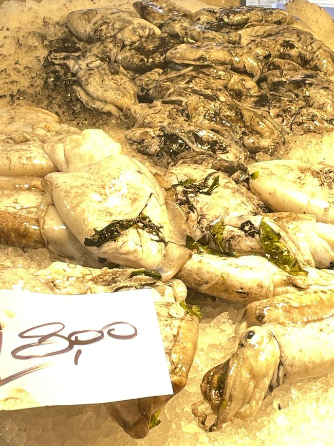 Così tanto pesce