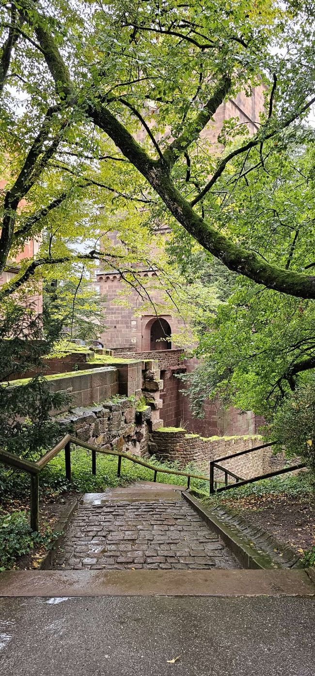 Heidelberg - an experience even in the rain!