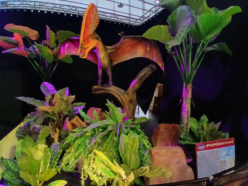 Dino Fever in Friedrichshafen: An Honest Look into the "Kingdom of Dinosaurs"