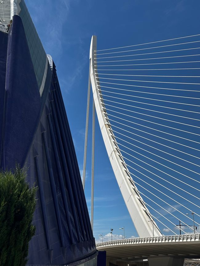 Valencia - Architektur zum Niederknien