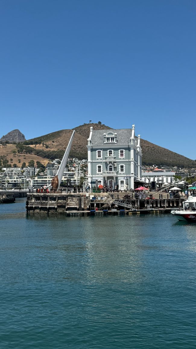 Tour del porto a Città del Capo, Spiaggia di Muizenberg, Spiaggia di Boulders, Capo di Buona Speranza