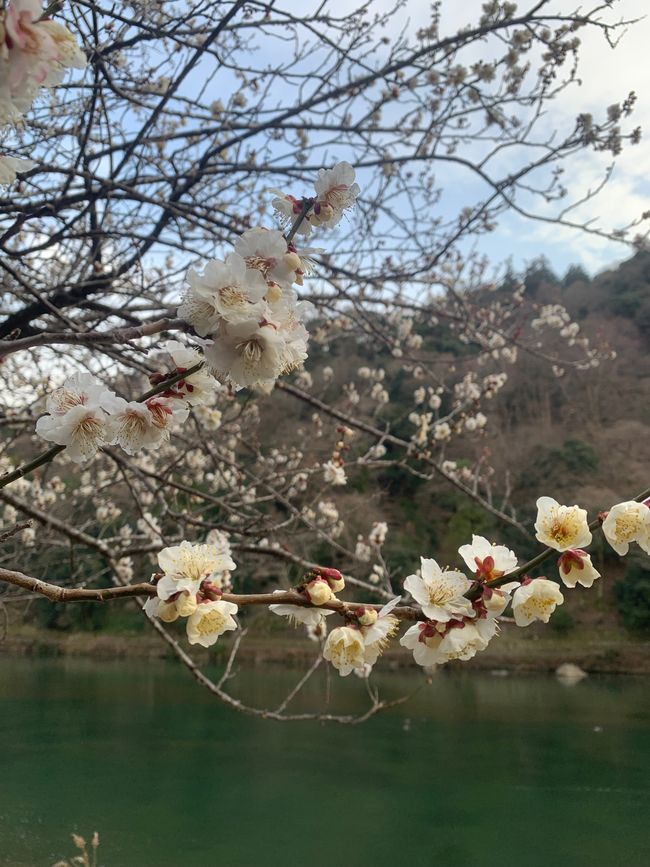 Kyoto
