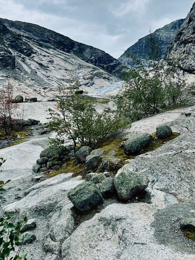 Nigardsbreen - la glace éternelle (?)