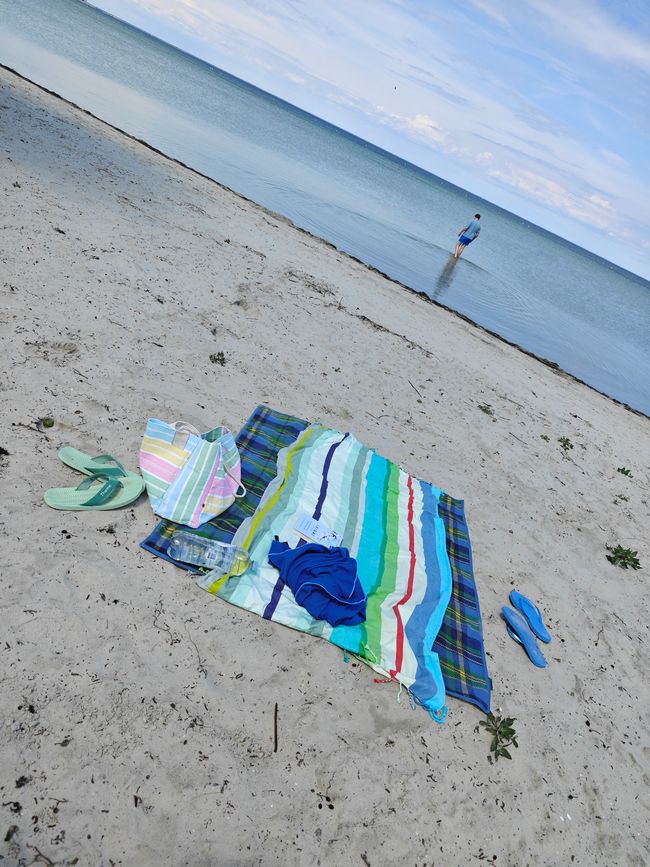 Beach Day 