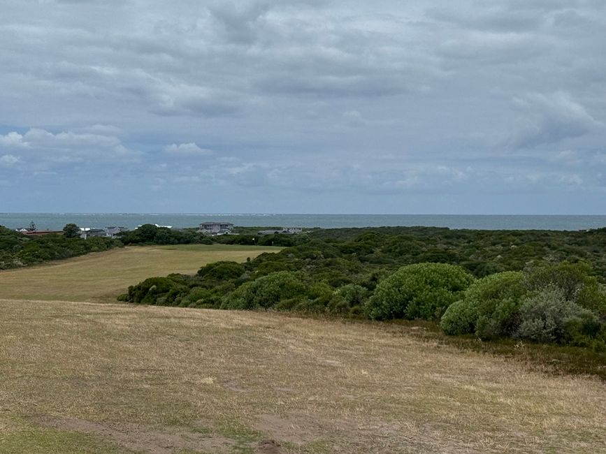 Gansbaai