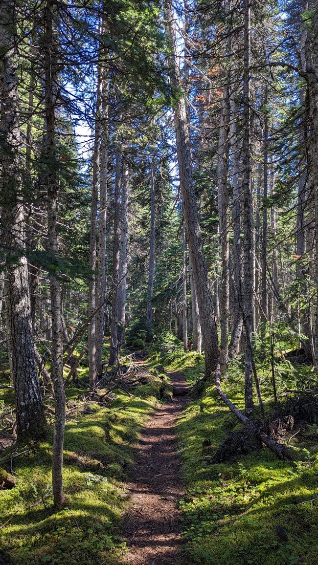 Upper Cascade Falls Trail