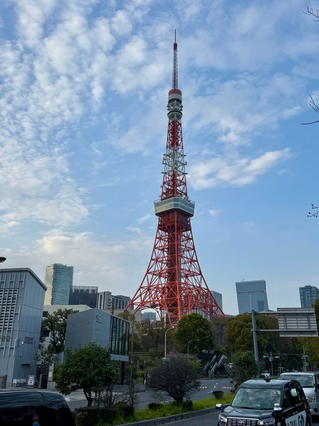 Parte 7
BENVENUTO IN GIAPPONE 🇯🇵
TOKYO