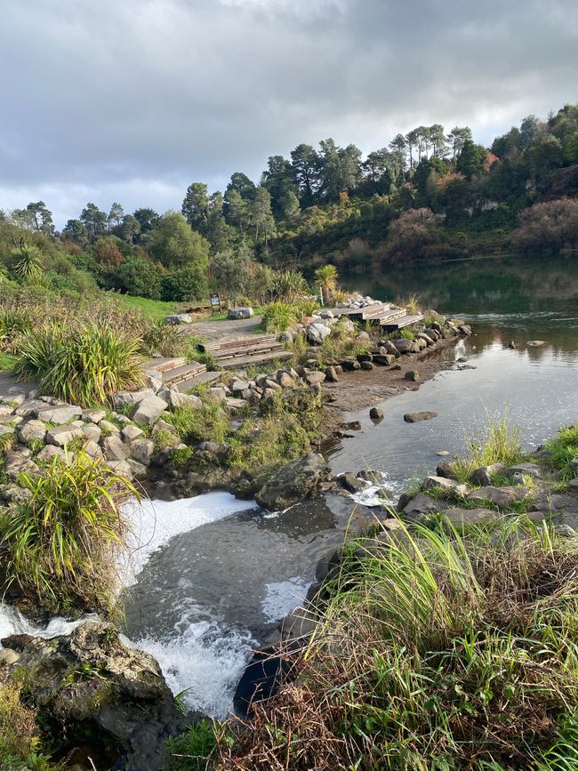 Taupo