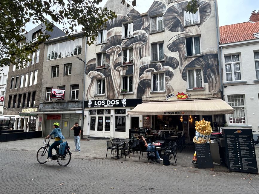 Tag 7: Middelburg - Schoten Teil 6