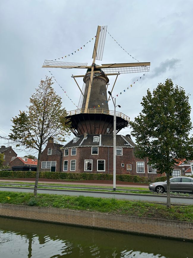 Tag 4: Sprang-Capelle - Den Haag Parte 4