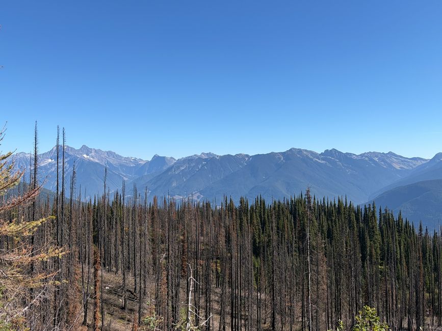 Kanada 7/21 - Revelstoke