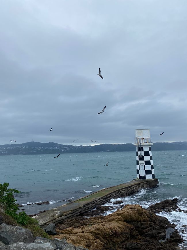 Point Halswell Lighthouse