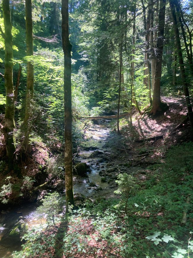 Das Wandern ist des Fischers  Lust-Ellegghöhe