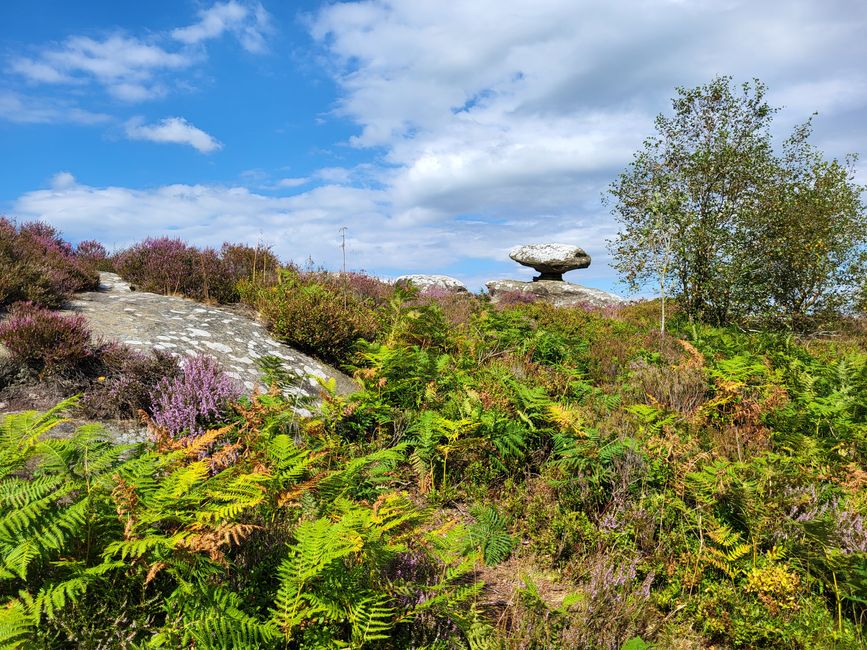 Brimham Rocks