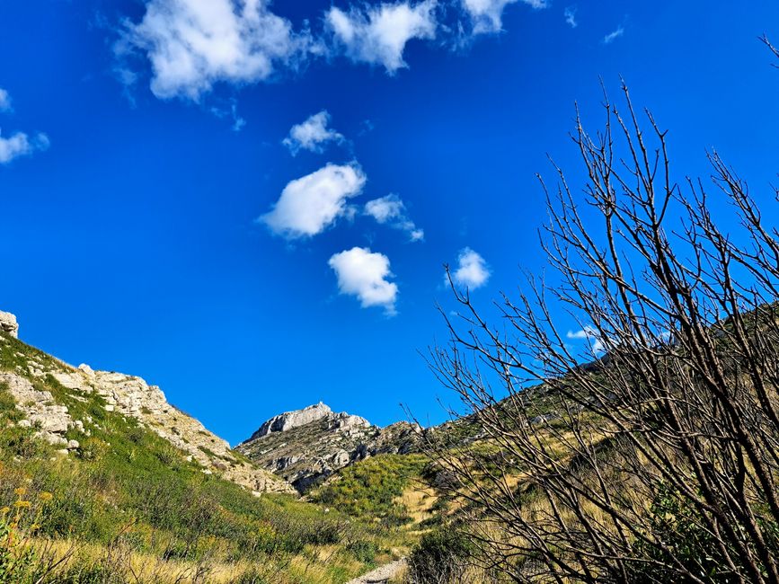 The Flavors of the Alpilles