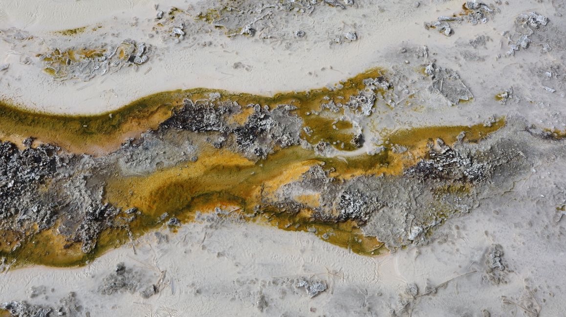 Orakei Korako - erstaunlich welche Farben hier entstehen können