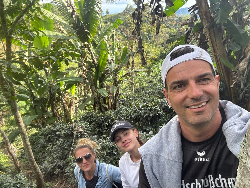 Cocora Valley