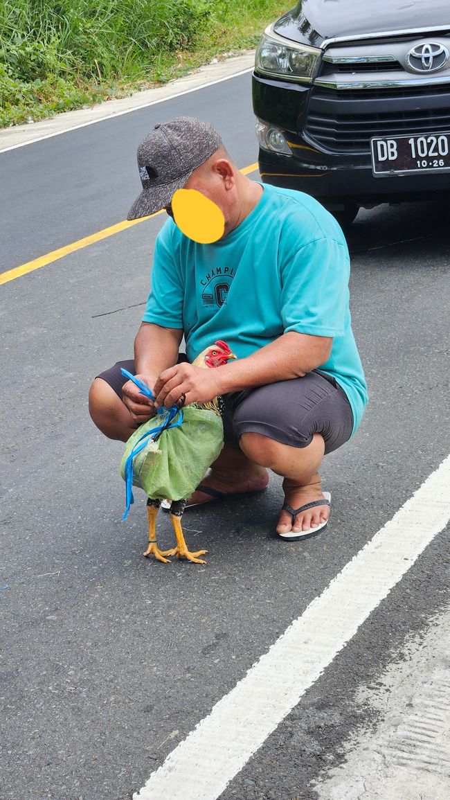 From Pulau Kadidiri to Tomohon