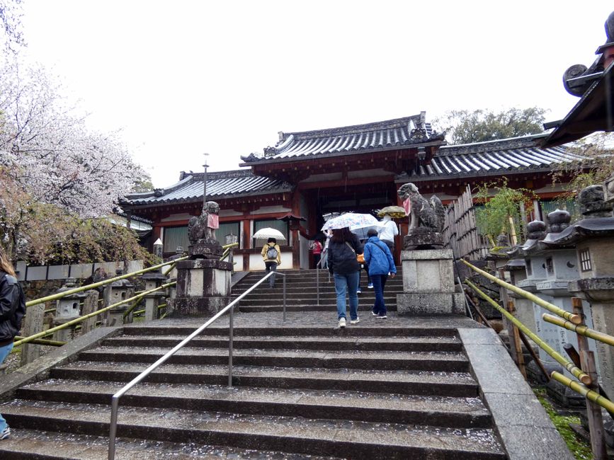 Kōbe and Nara, April 1, 2026