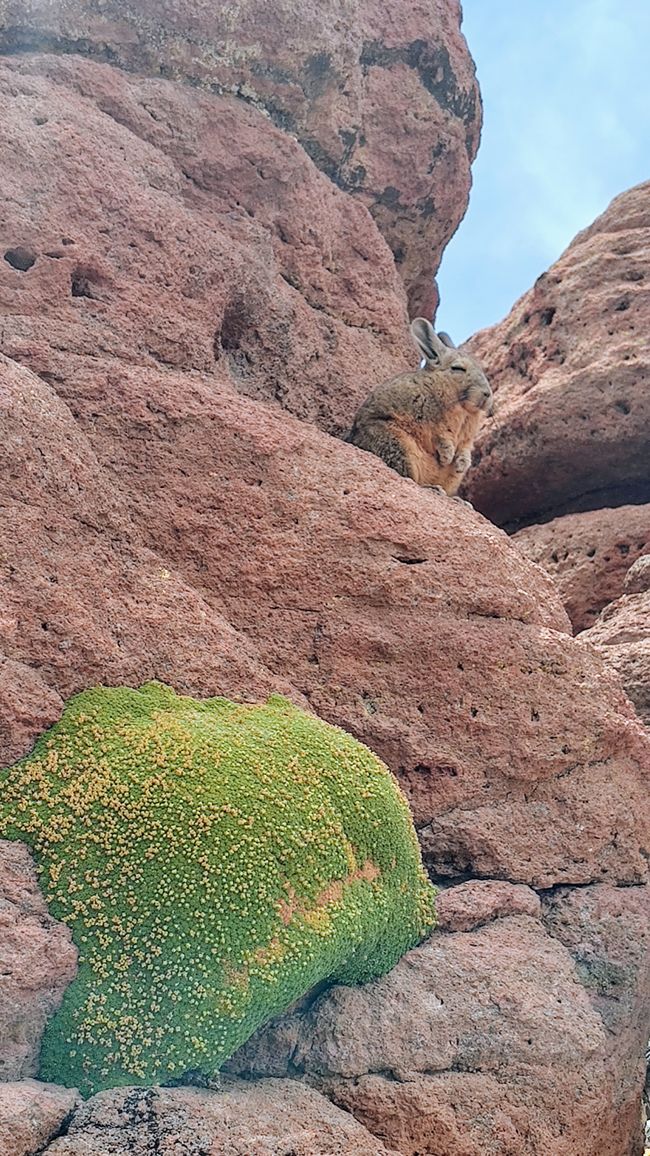 Bolivia, Tour de Lagunas