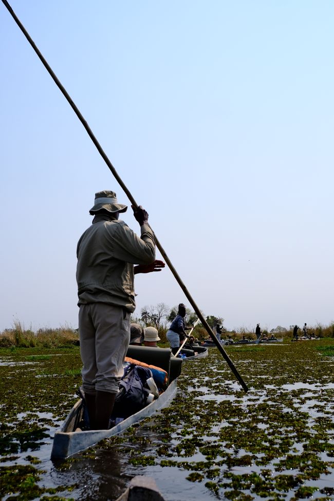 Delta del Okavango 🇧🇼