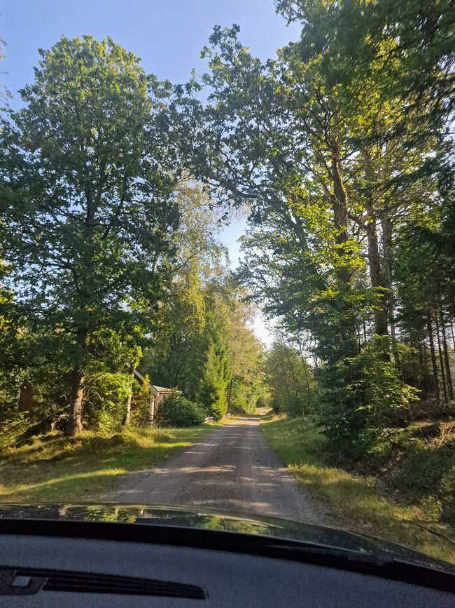 Svezia 6° giorno - Safari degli alci, acquisto di un caricabatterie e campeggio speciale