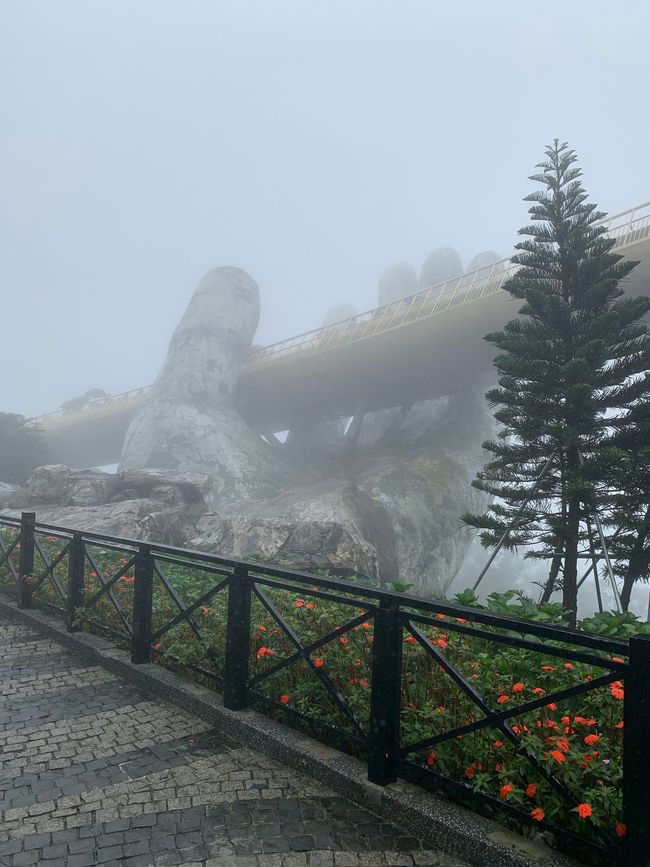 Tag 6 - Hoi An : Un Licorne Endormi et une Aventure dans le Brouillard