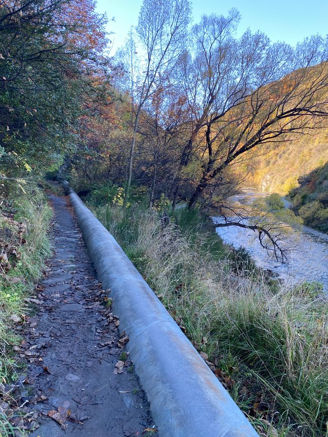 Arrowtown, Queenstown