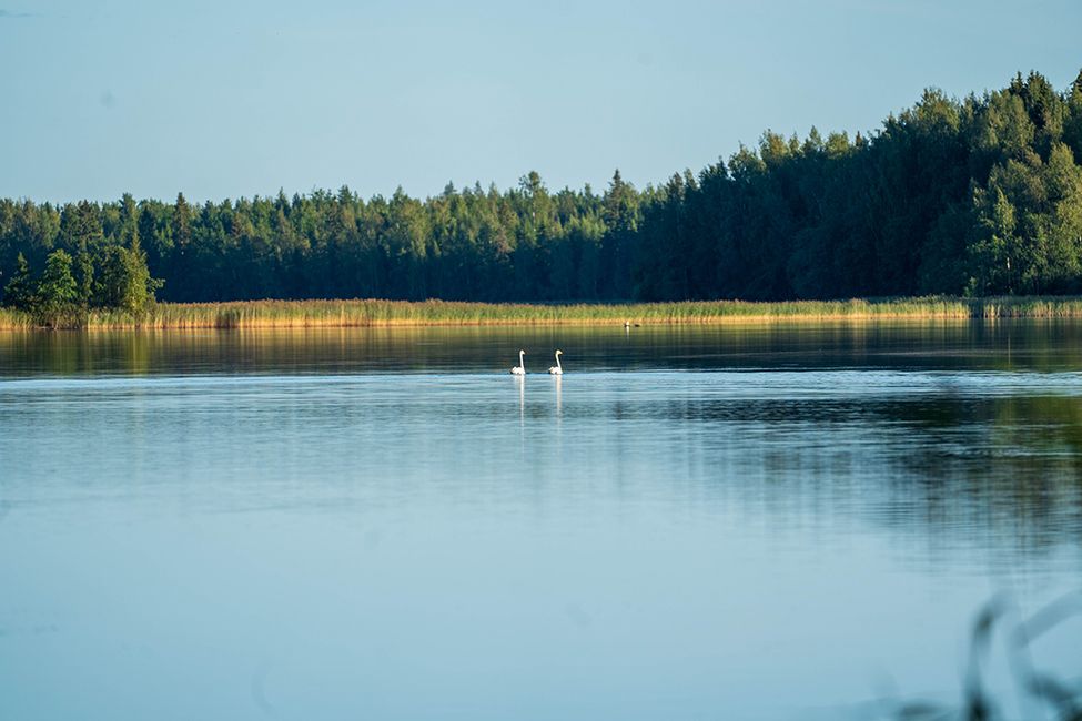 Lake Wonderland