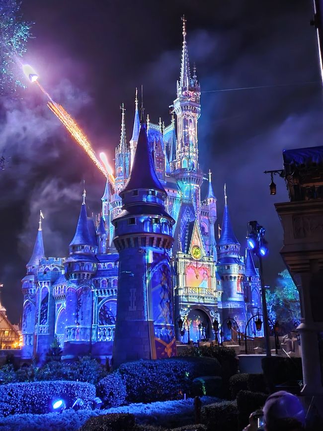 Walt Disney World