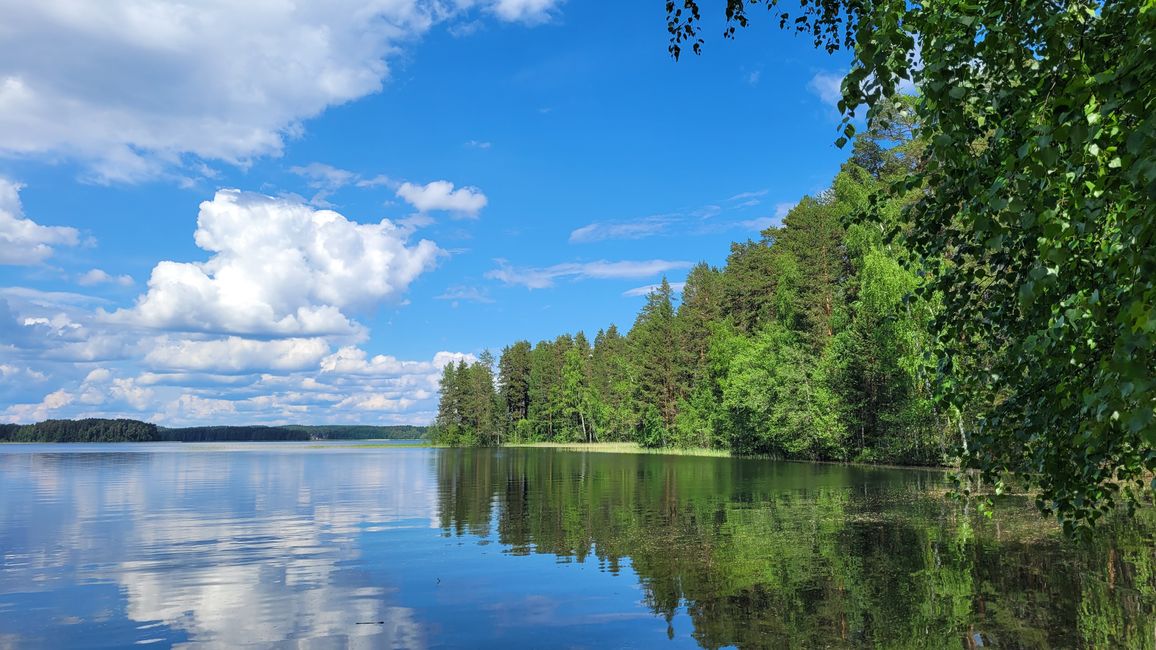 Finlandia 31 de mayo - 14 de junio de 2024 / 8 de junio