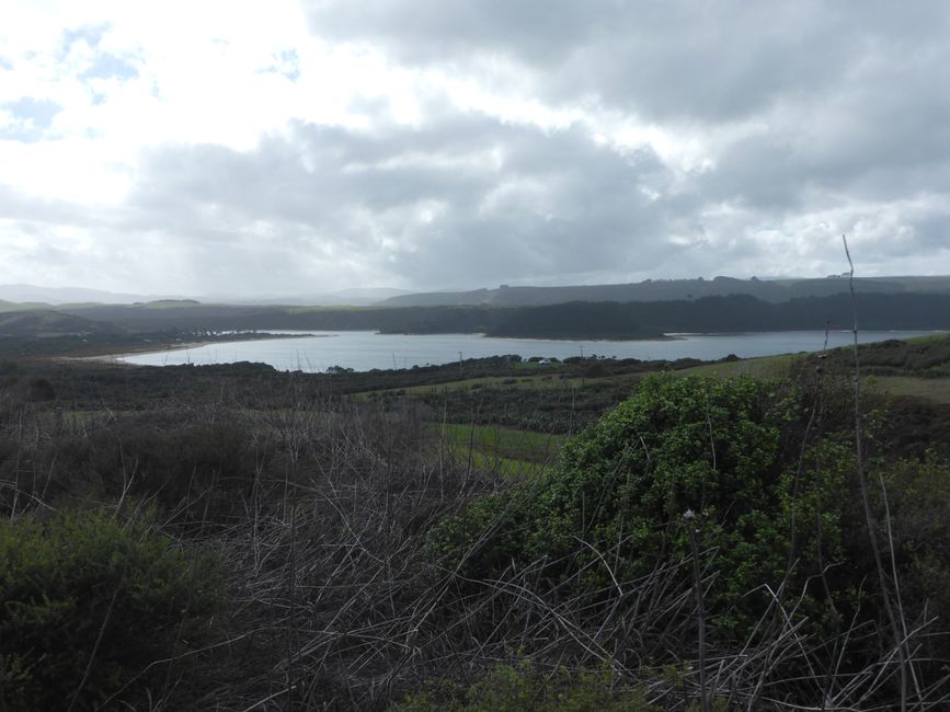2025-04-15 Dargaville