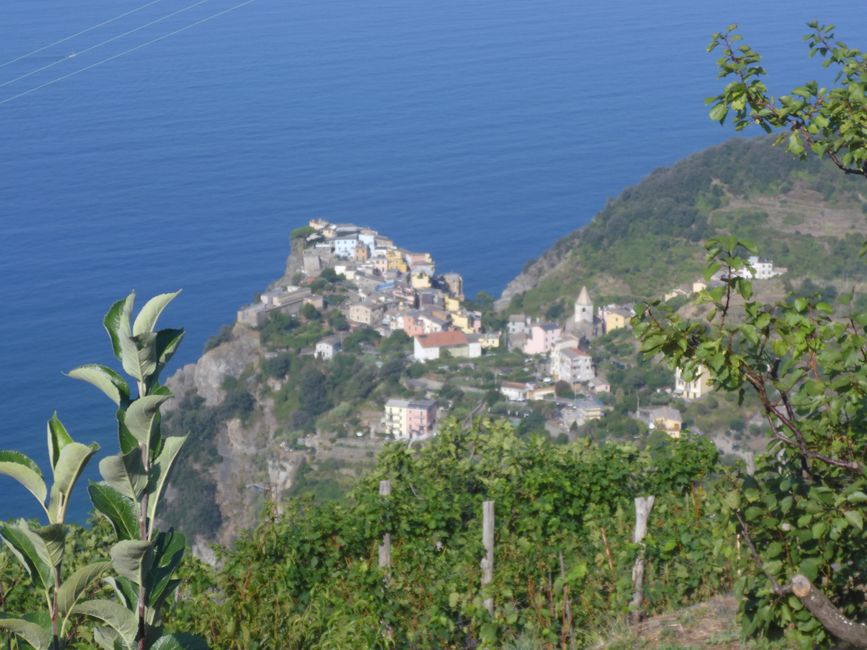 Vernazza 