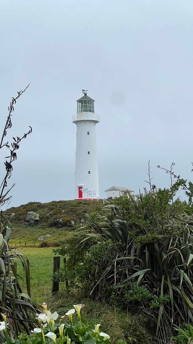 Cape Egmont Leuchtturm