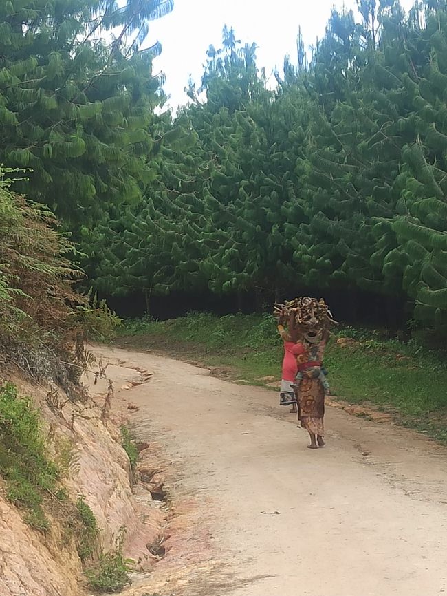 En las Montañas Usambara