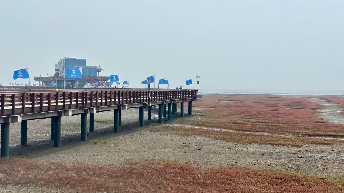 An der Küste versteckt sich das Meer vor uns