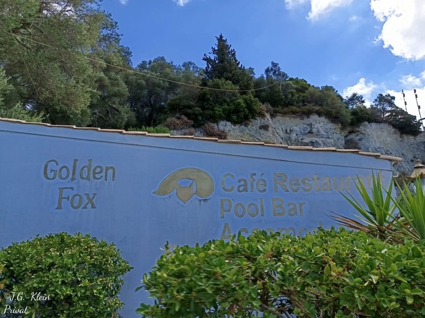 Golden Fox (Bella Vista)