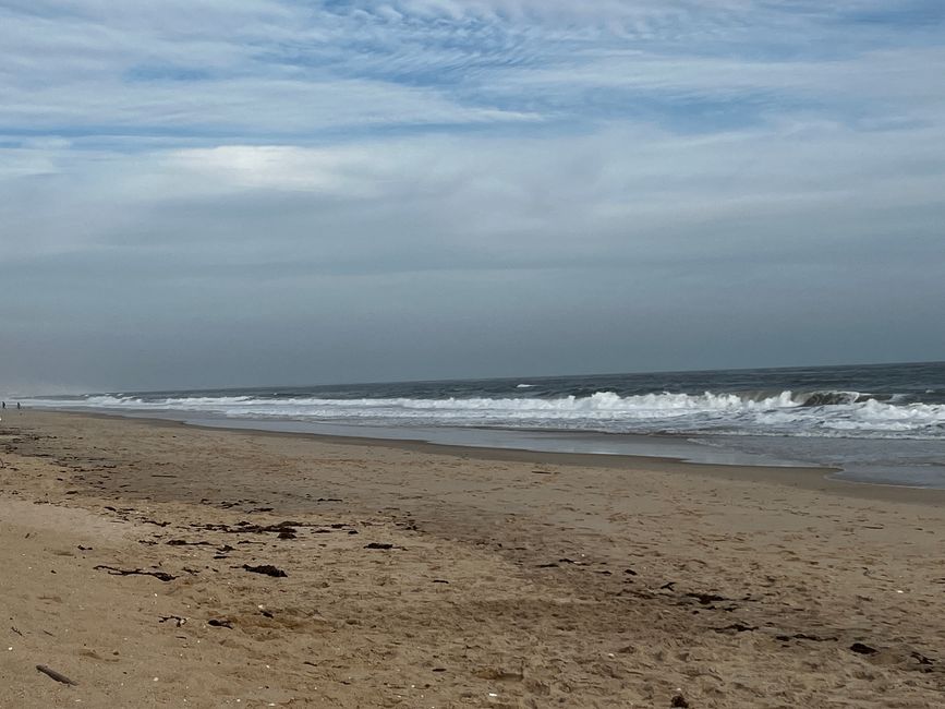 Tavira