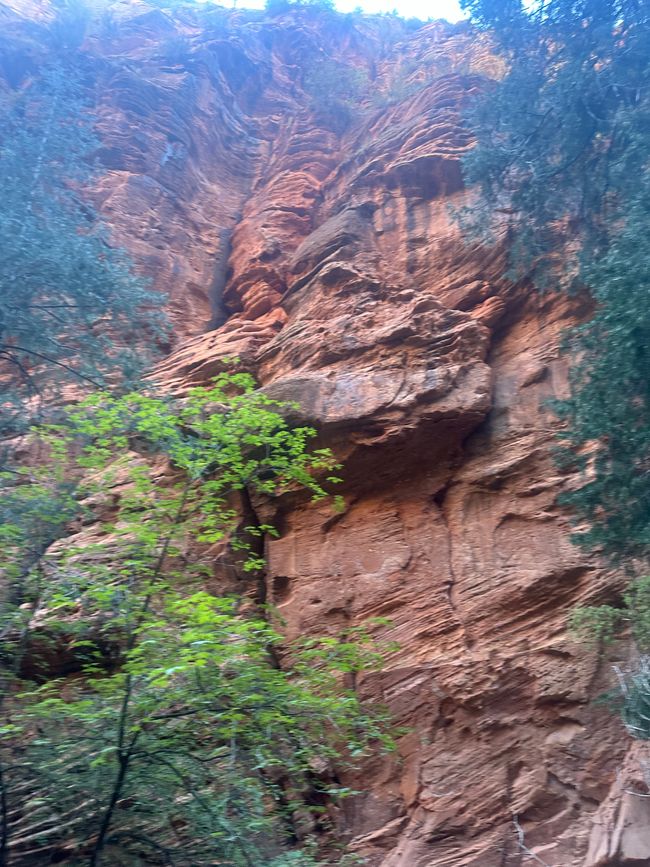 Canyon Land:Zion and  Bryce Canyon❤️