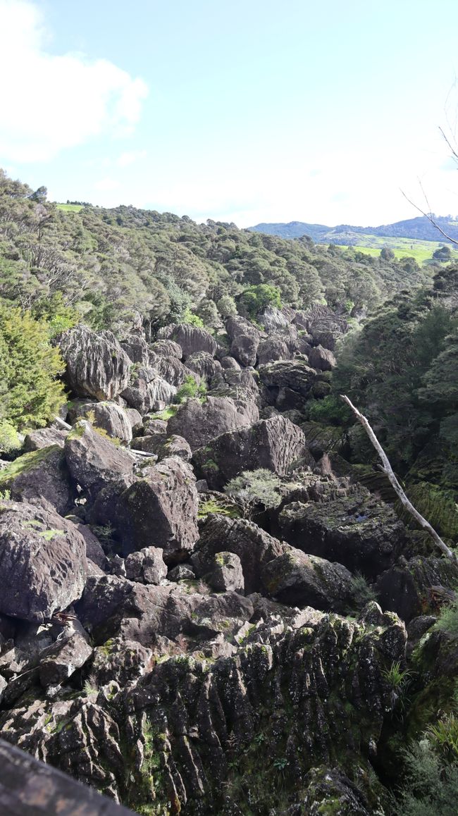 Wairere Boulders Nature Reserve