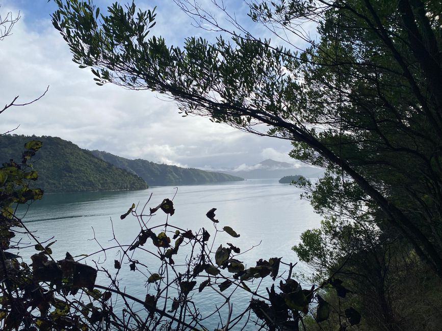 Off to the North Island