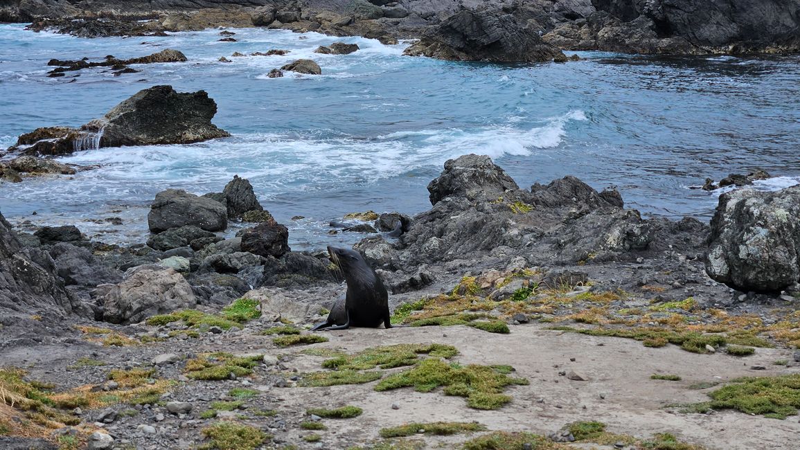 Classic New Zealand Wine Trail - Putangirua Pinnacles - Cape Palliser