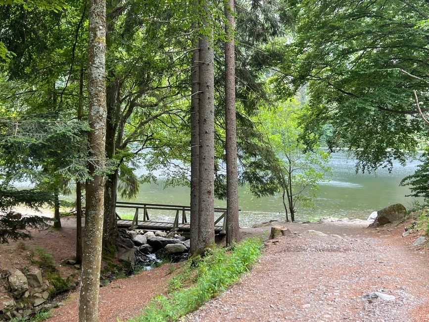 26 Feldbergsteig Escursione Pro Wolermoos