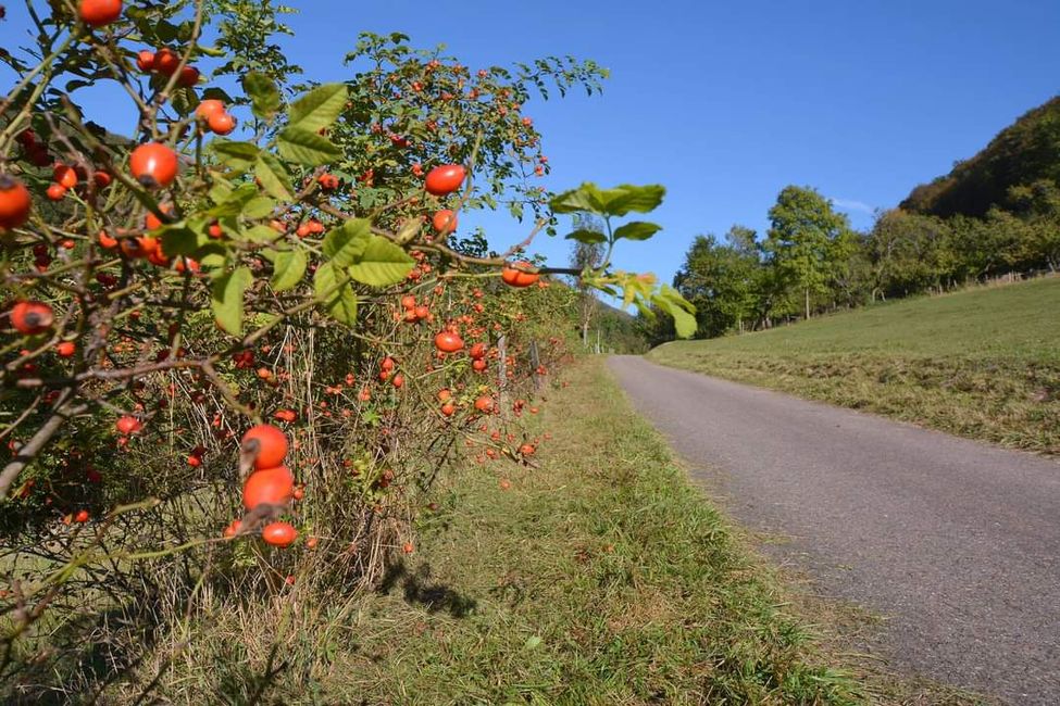 Taste experience from nature: The Hägenmark – a delight for all senses