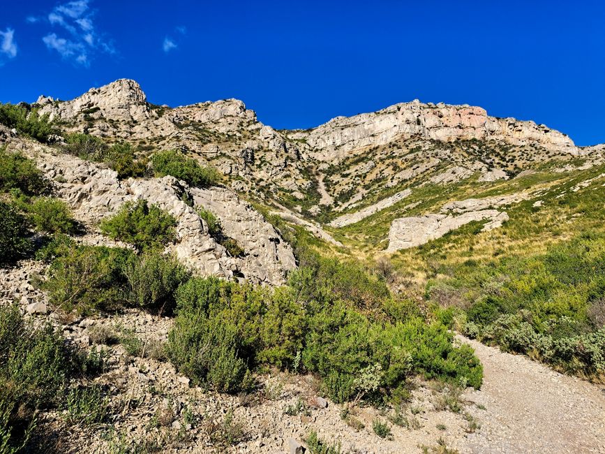 The Flavors of the Alpilles