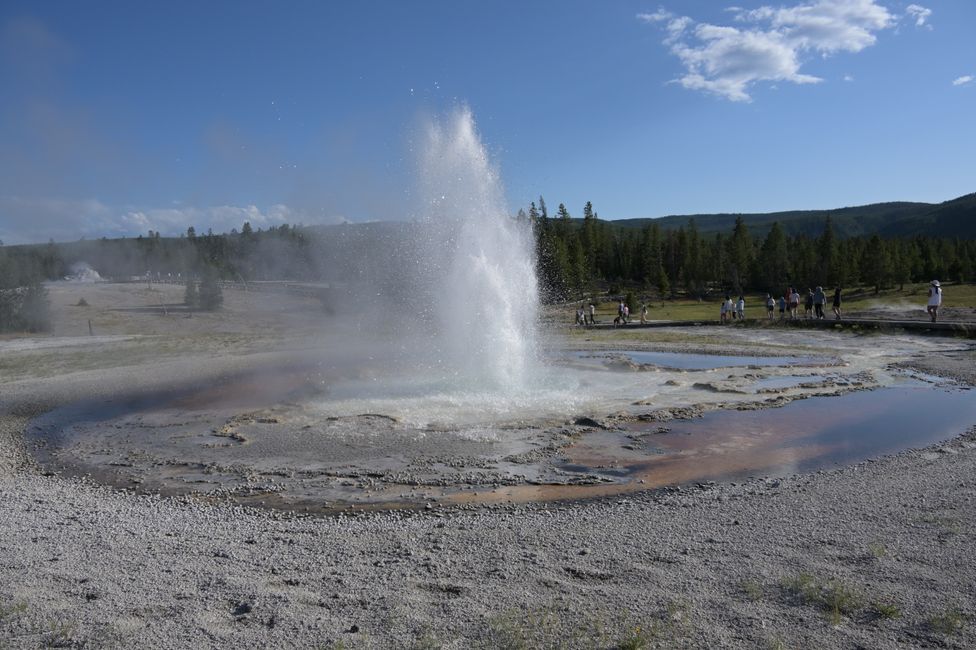 Bassin supérieur des geysers - Geyser Sawmill